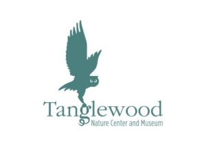 tang 300x232 - Latest Update: Tanglewood Summer Camp